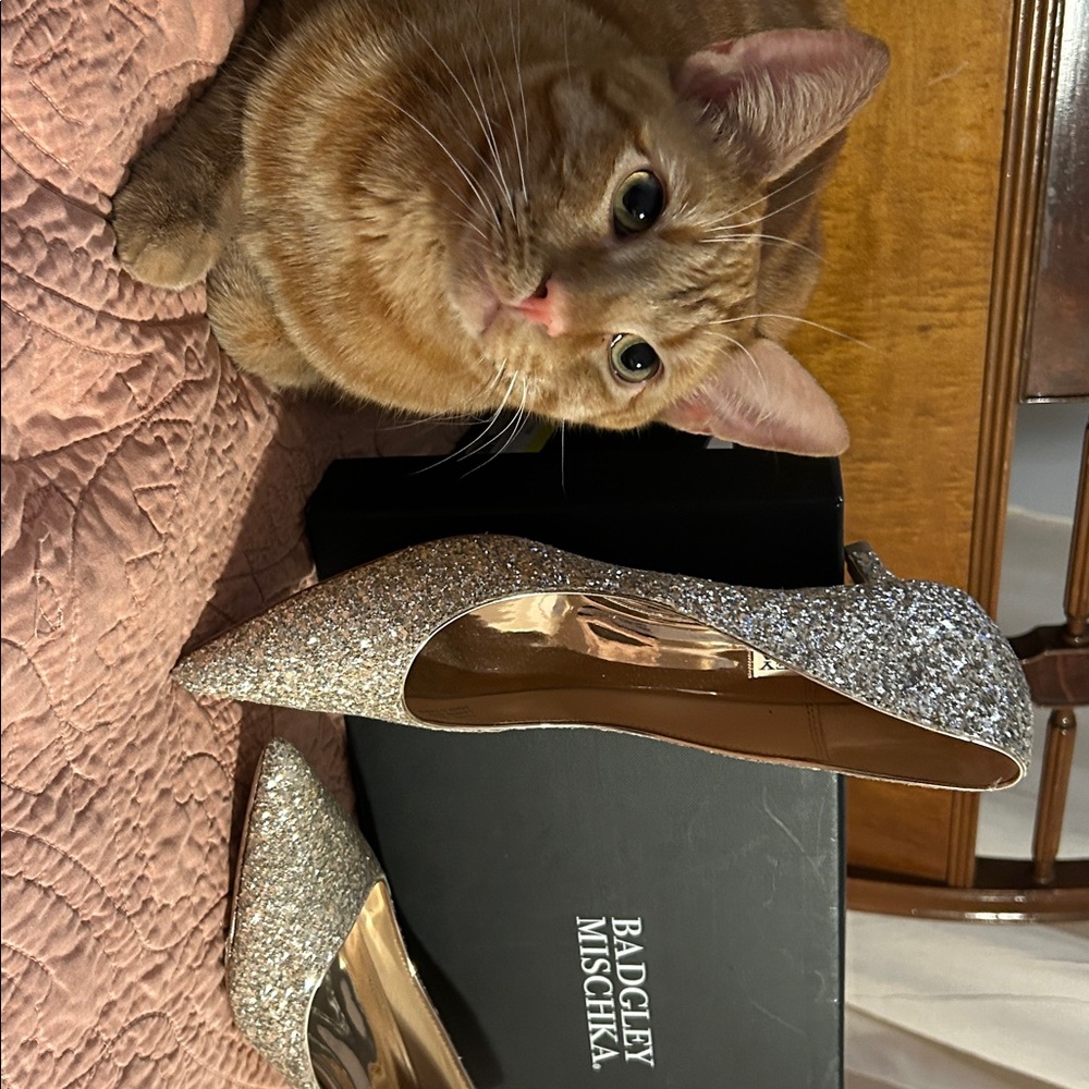 Badgley Mischka Sparkling Gold Pumps